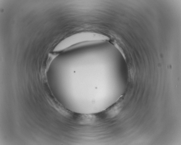 X0000078310429200611251538