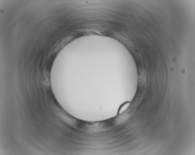 X0000078310430200611251538