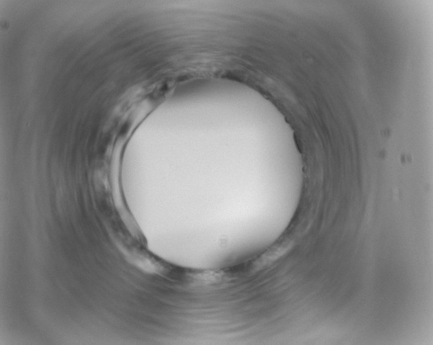 X0000078310432200611251538