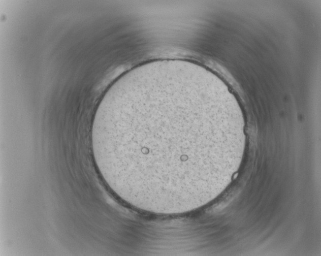 X0000078310433200611251537