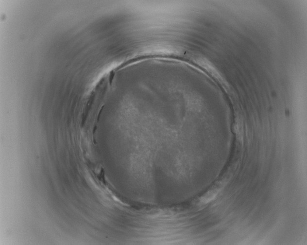 X0000078310434200611251537