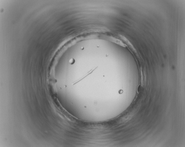 X0000078310435200611251537