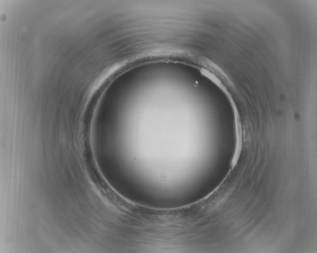 X0000078310436200611251537