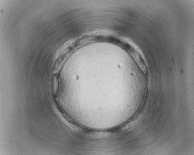 X0000078310437200611251537