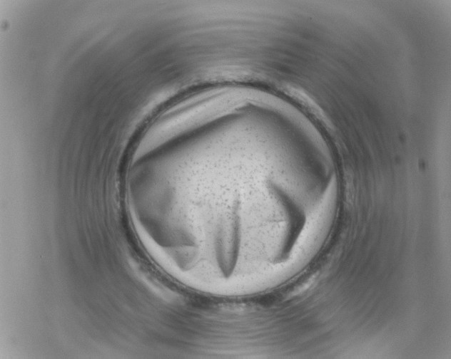 X0000078310439200611251537