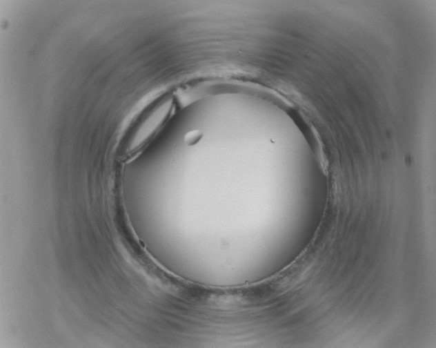 X0000078310440200611251537