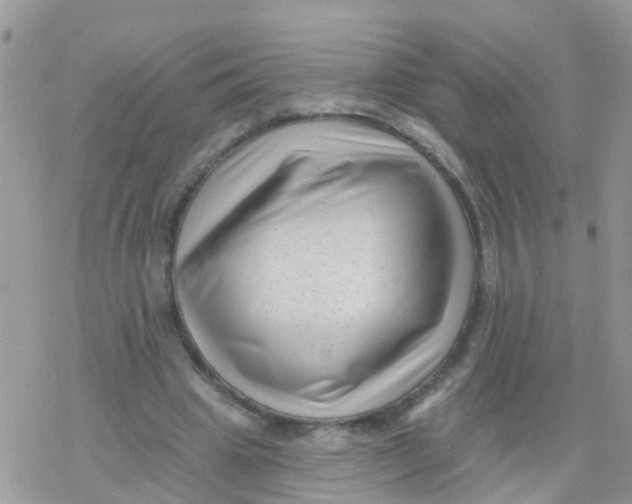 X0000078310441200611251537