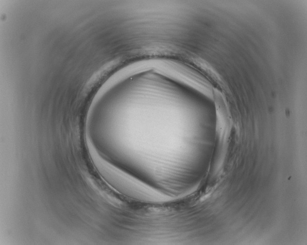 X0000078310442200611251537