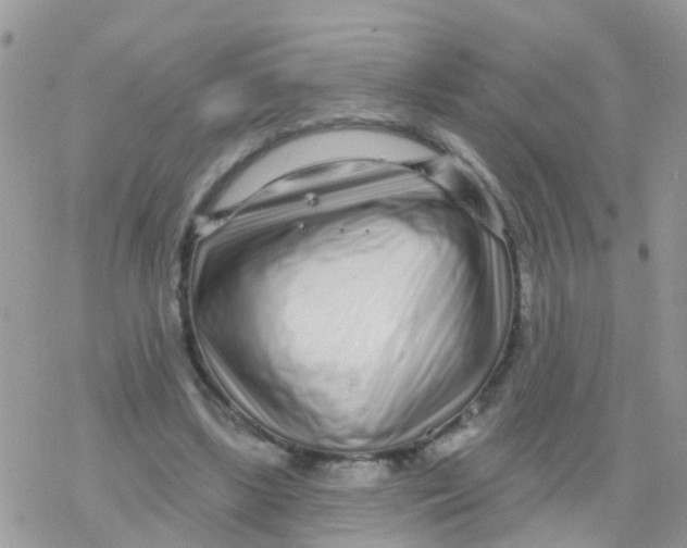 X0000078310443200611251537