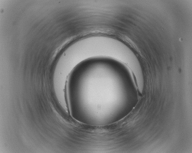 X0000078310444200611251537