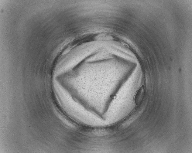 X0000078310445200611251537