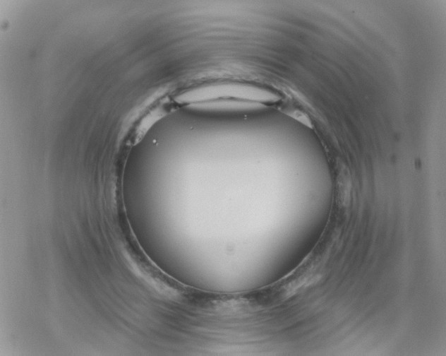 X0000078310446200611251537