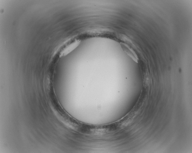 X0000078310448200611251537