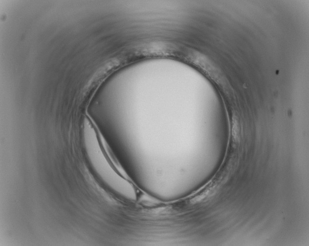 X0000078310449200611251537