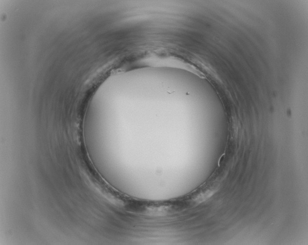 X0000078310450200611251537