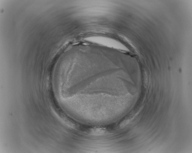 X0000078310451200611251537