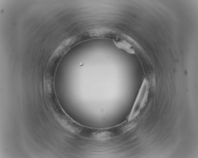 X0000078310452200611251537