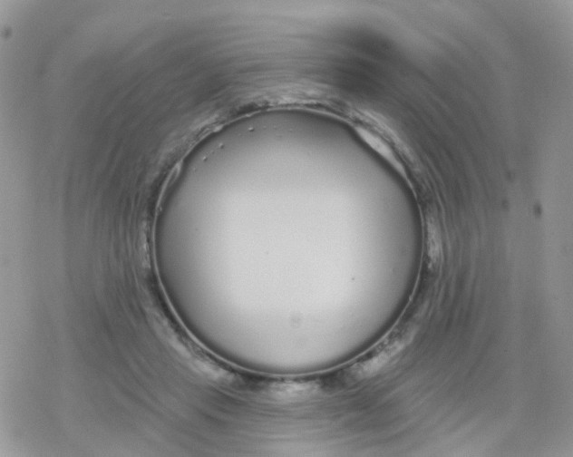 X0000078310453200611251537