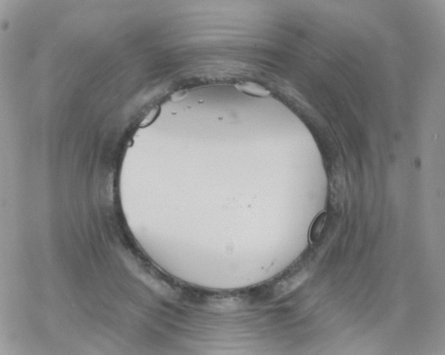 X0000078310454200611251537