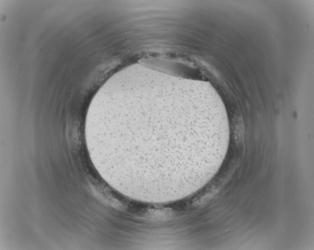 X0000078310455200611251537