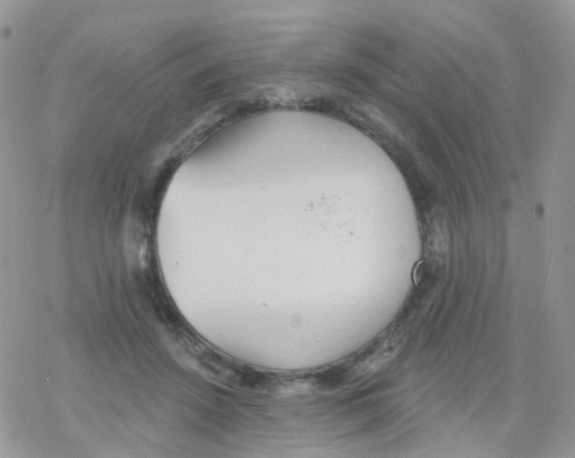 X0000078310456200611251537