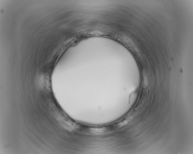 X0000078310457200611251537