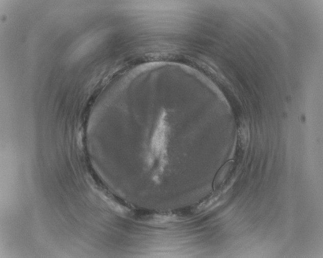 X0000078310458200611251537