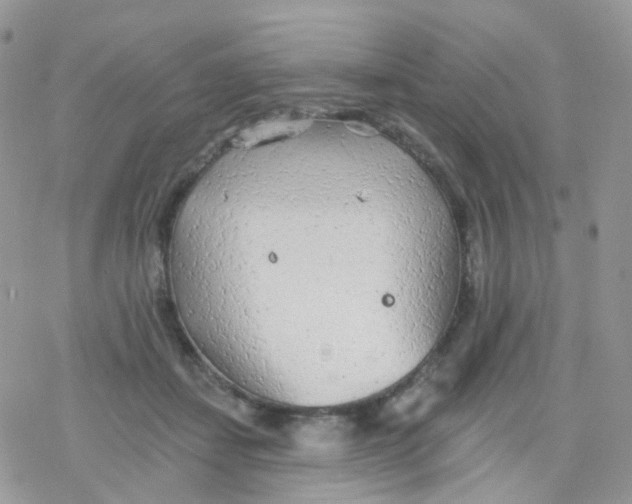 X0000078310459200611251538