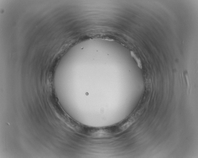 X0000078310460200611251538