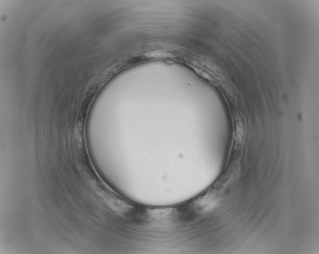 X0000078310461200611251538