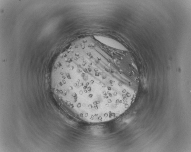 X0000078310462200611251538