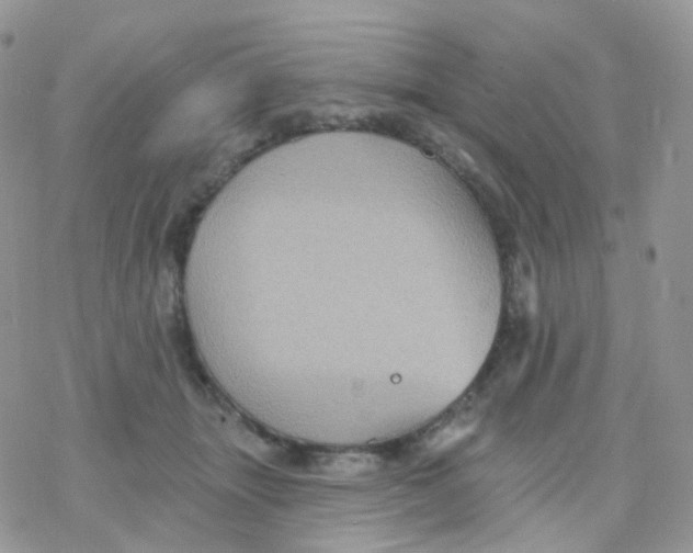 X0000078310463200611251538