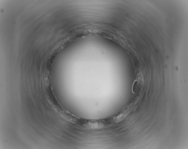 X0000078310464200611251538