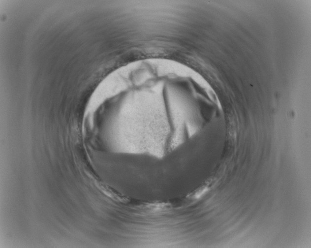 X0000078310465200611251538