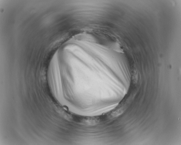 X0000078310466200611251538