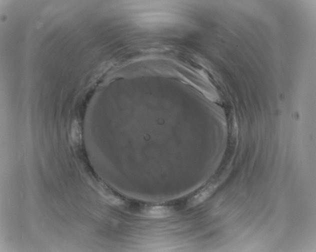 X0000078310467200611251538