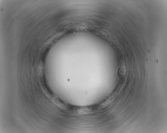 X0000078310468200611251538