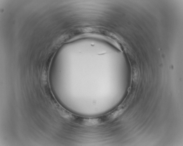 X0000078310469200611251538