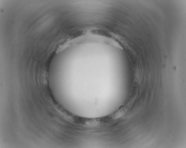 X0000078310470200611251538