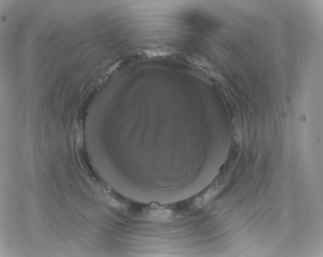 X0000078310471200611251538