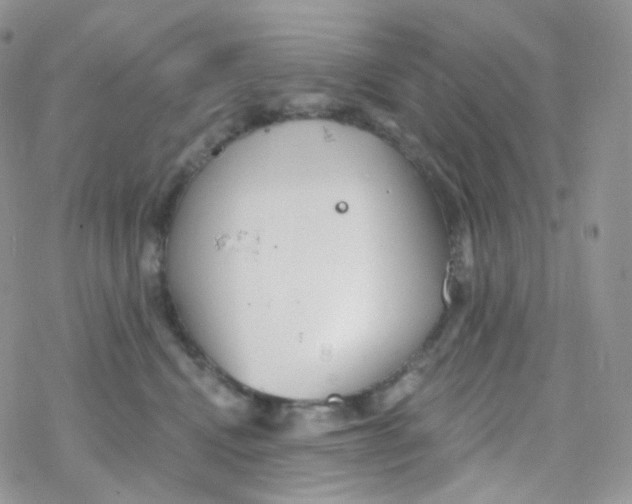 X0000078310472200611251538