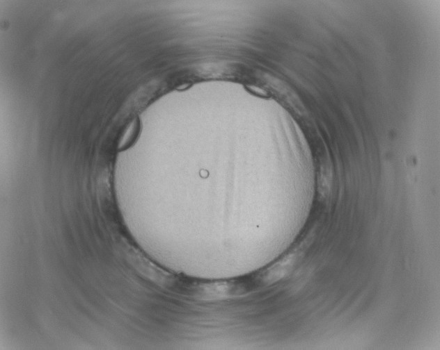 X0000078310473200611251538