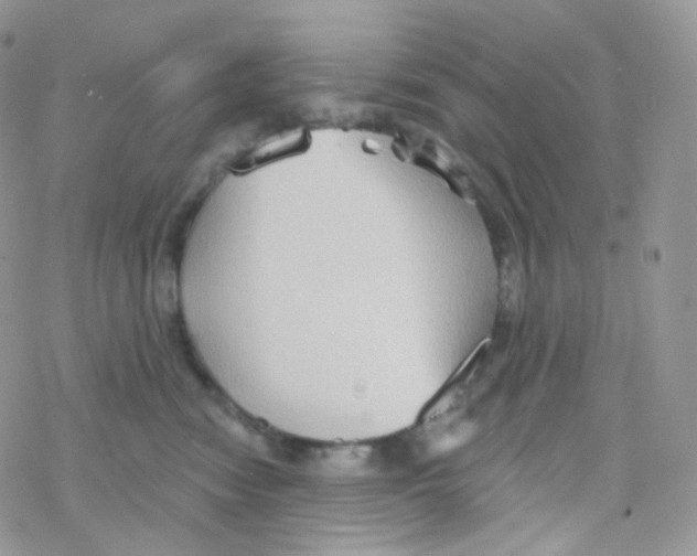 X0000078310474200611251538