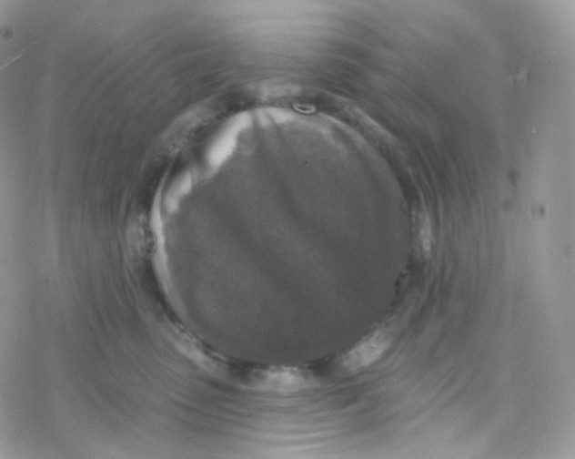 X0000078310475200611251538