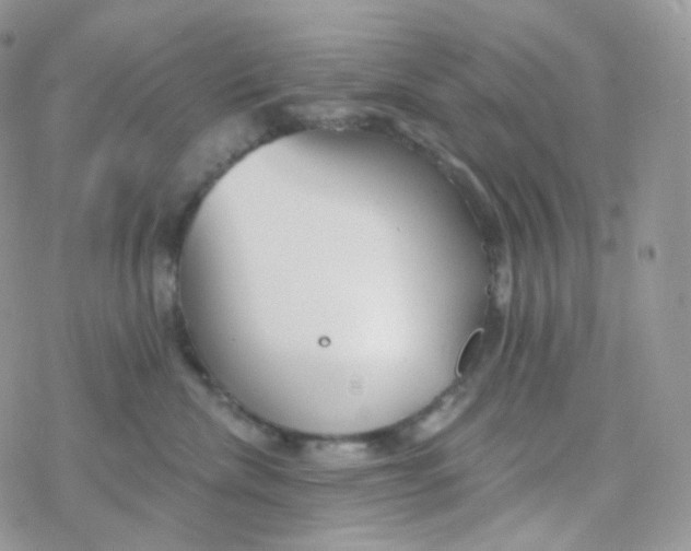 X0000078310476200611251538