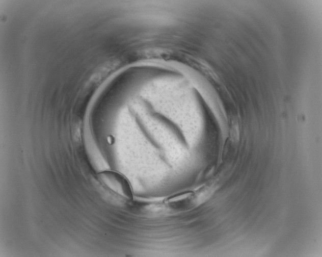 X0000078310477200611251538