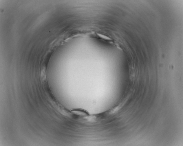 X0000078310478200611251538