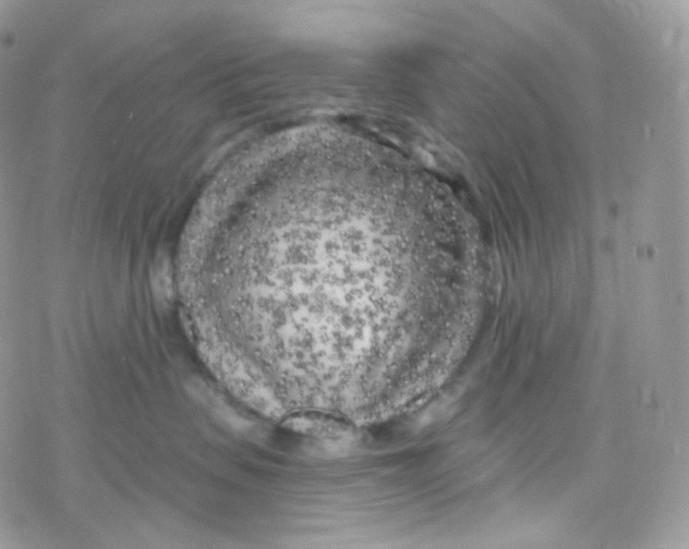 X0000078310479200611251538