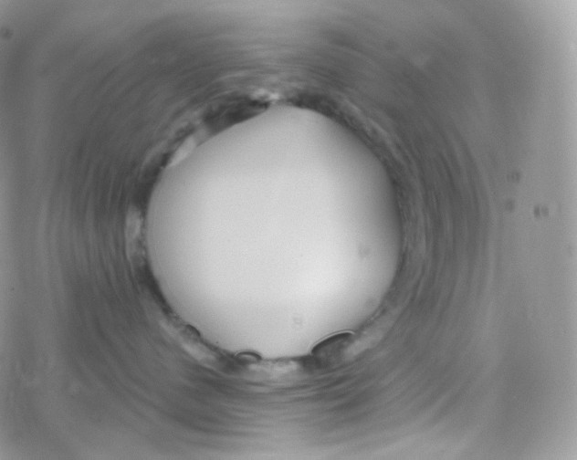 X0000078310480200611251538