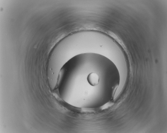 X0000078310481200611251537